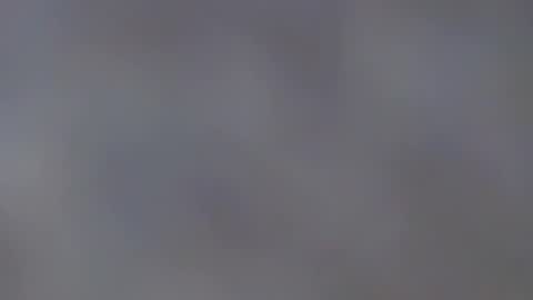 playboypetit online show from 01.12.25