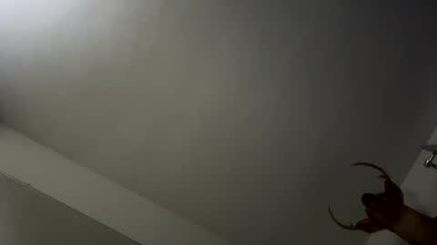 playerpleasure online show from 11.09.25