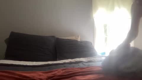 playfulpork online show from 04.17.26