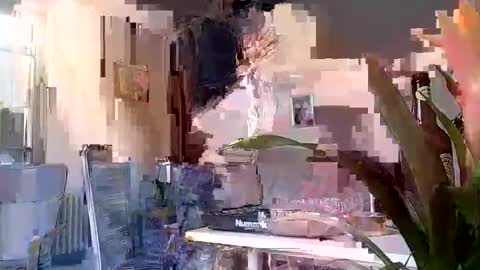 playge online show from 10.12.25