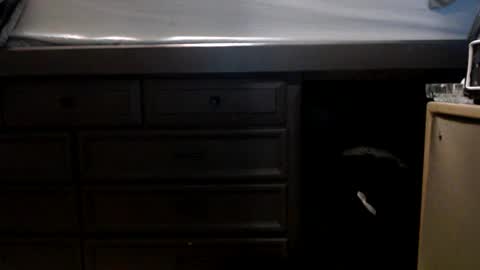 Snapshot of pleasantdinosaurus7537 chatting on 11.17.25 pleasantdinosaurus7537 online show from 11.17.25