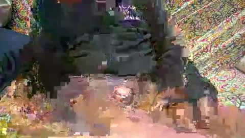 pliniowb online show from 10.18.25