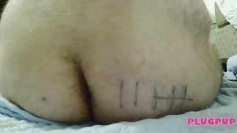 PlugPup online show from 08.01.26