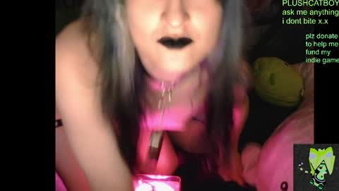 plushcatboy online show from 04.07.26