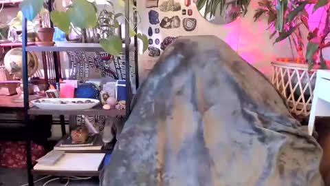 Goddess Pluto online show from 01.08.25