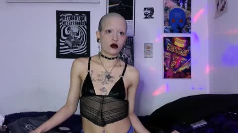    online show from 02.28.26