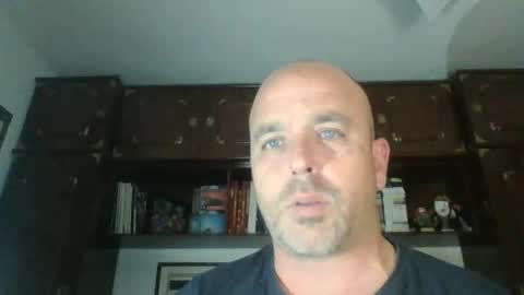 pocoyotop online show from 12.28.24