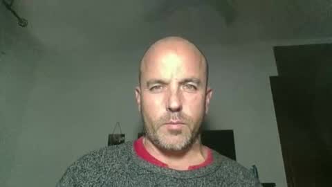 pocoyotop online show from 12.18.25