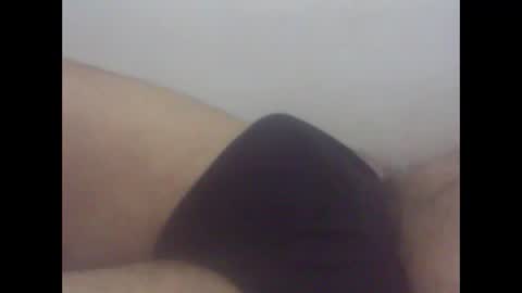 pol2023 online show from 03.15.26