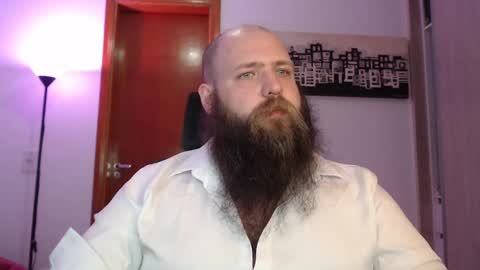 Bear online show from 03.08.25