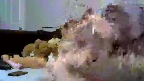 sativa  indica online show from 01.12.26