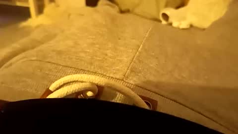 pollontf online show from 03.02.26