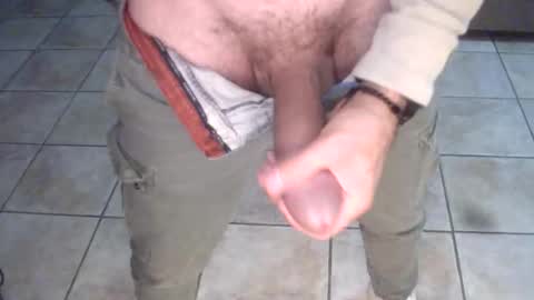 porcellobolognese online show from 11.11.25