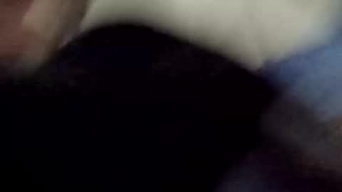 PipeLayerPlayer007 online show from 04.08.26