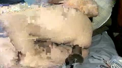 Snapshot of poundittt chatting on 09.23.25 dikud0wn online show from 09.23.25