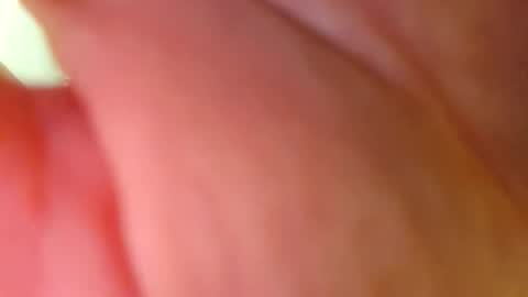 Big Dick online show from 02.26.26