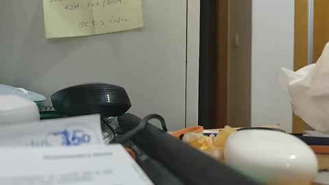 Snapshot of ppillo chatting on 11.17.25 ppillo online show from 11.17.25