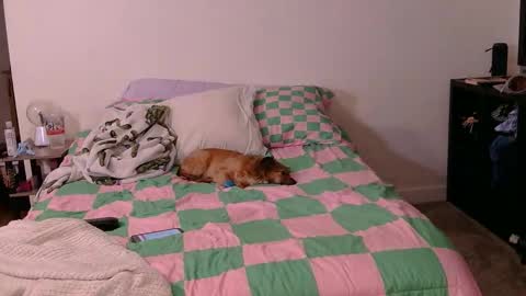 Snapshot of pppawg chatting on 10.19.25 PAWG Pale Princess online show from 10.19.25