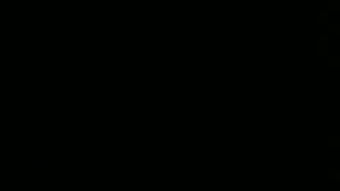 Snapshot of pppawg chatting on 11.02.25 PAWG Pale Princess online show from 11.02.25