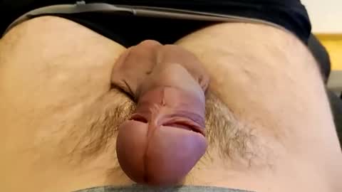 precummilker online show from 12.13.24