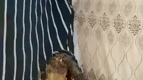 pretty705007 online show from 03.21.26