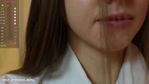 Snapshot of pretty_princess_elina chatting on 01.25.25 Elina online show from 01.25.25