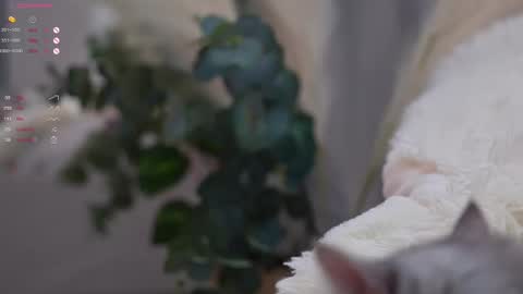 Snapshot of pretty_princess_elina chatting on 03.11.25 Elina online show from 03.11.25