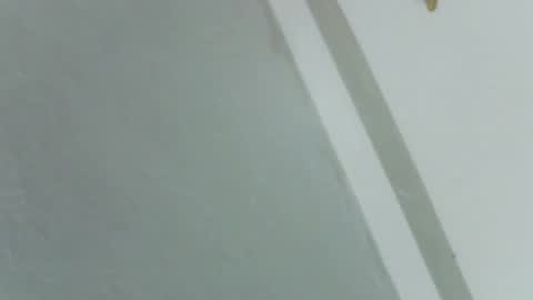 Snapshot of pretty_rose_ chatting on 11.14.25 Rose online show from 11.14.25