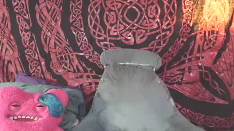 stacy online show from 04.21.26