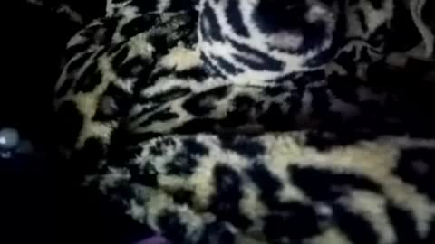 prettyma online show from 01.21.25