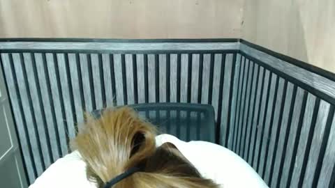 Snapshot of prettykate_04 chatting on 10.08.25 Kate online show from 10.08.25