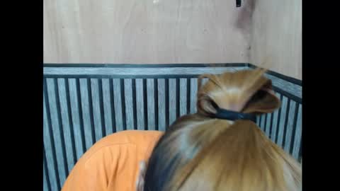 Snapshot of prettykate_04 chatting on 11.07.25 Kate online show from 11.07.25