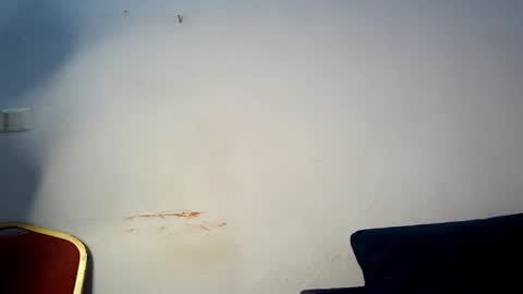 Snapshot of prettylove5 chatting on 03.01.26 evelyn online show from 03.01.26