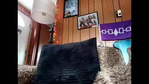 prettysolid7 online show from 01.12.26