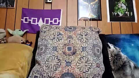 prettysolidd7 online show from 01.28.25
