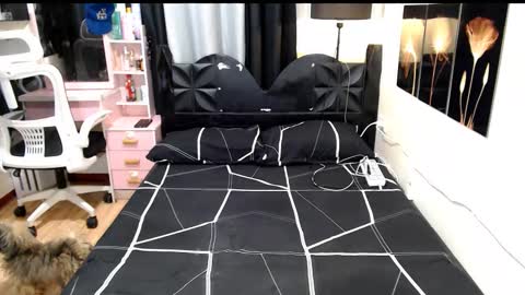 Shane online show from 10.13.25