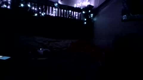 Holly love online show from 11.15.25