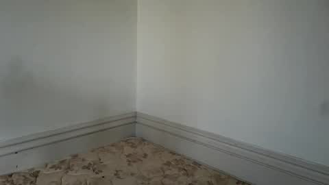 professorhushh online show from 11.25.25