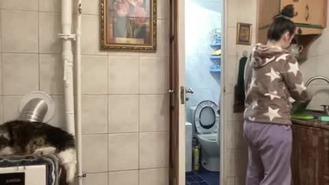 Snapshot of proud_sweet_21 chatting on 02.01.26 proud sweet 21 online show from 02.01.26