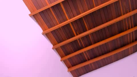 Snapshot of pscis_69 chatting on 12.16.24 Mara online show from 12.16.24