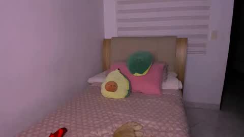 Snapshot of pscis_69 chatting on 01.30.25 Mara online show from 01.30.25