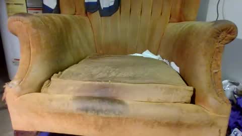 Snapshot of pspee313 chatting on 11.01.25 pspee313 online show from 11.01.25