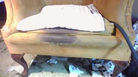 pspee313 online show from 04.11.26