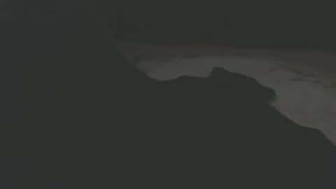 public_train online show from 04.15.26