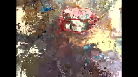 publicexhibto online show from 11.20.25