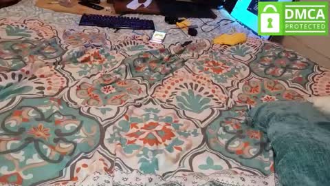 LOVE TO GET MY ASS FUCKED online show from 03.09.26