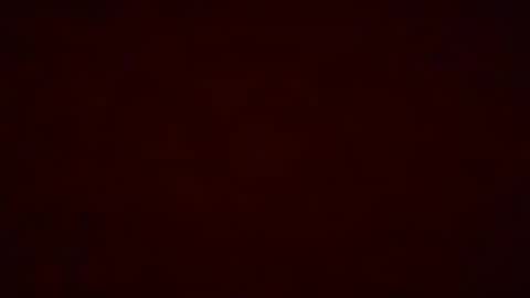 Pumpkin bunny online show from 12.19.25