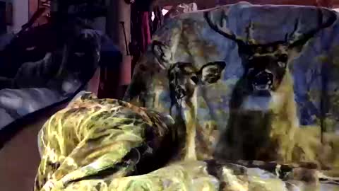 Snapshot of pumpslurrys chatting on 10.12.25 pumpslurrys online show from 10.12.25