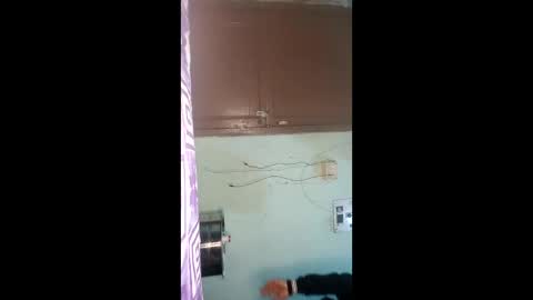 Punjabi playboy online show from 01.12.26