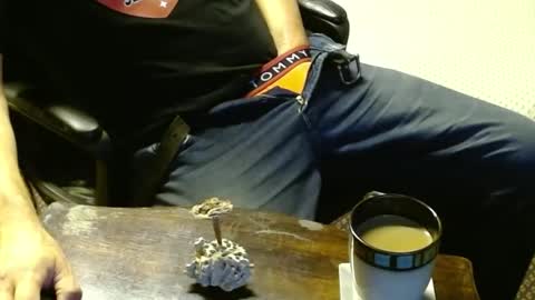 Snapshot of punkypapi chatting on 10.12.25 Jojo online show from 10.12.25